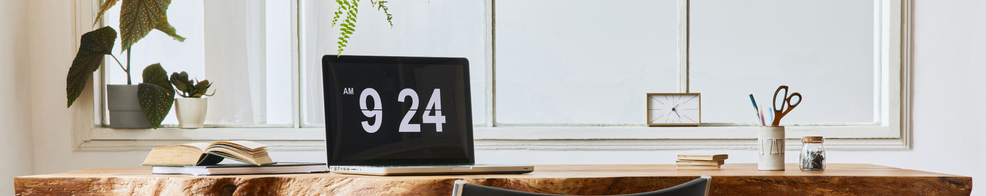 البحث في الأقسام